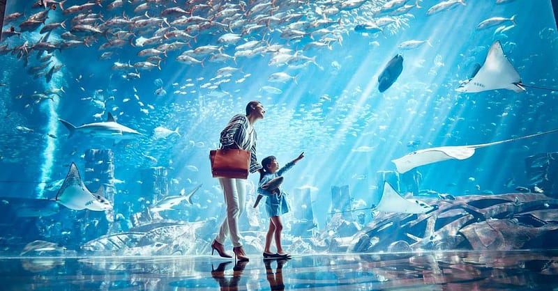 Explore DubaiâS Lost Chambers Aquarium: Tickets For One, Two, Or Four Dubai - Image 13